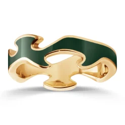 Ring Gult gull