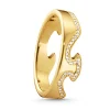 Ring Gult gull