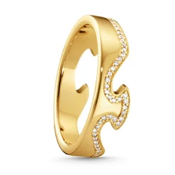 Ring Gult gull