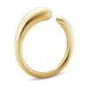 Ring Gult gull