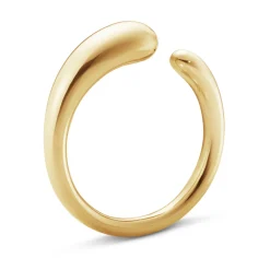 Ring Gult gull