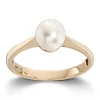 Ring Gult gull