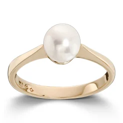 Ring Gult gull