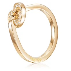 Ring Gult gull