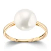 Ring Gult gull