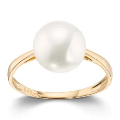 Ring Gult gull