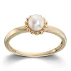 Ring Gult gull