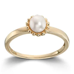 Ring Gult gull