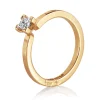 Ring Gult gull