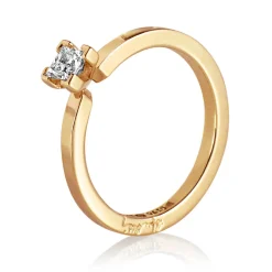 Ring Gult gull