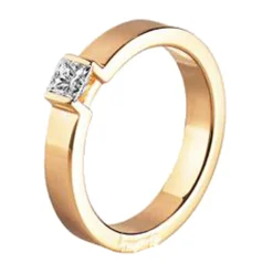 Ring Gult gull