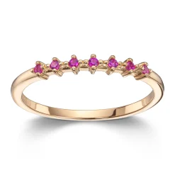 Ring Gult gull