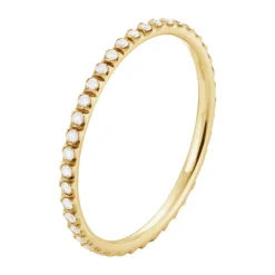 Ring Gult gull