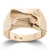 Ring Gult gull