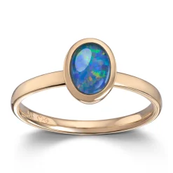 Ring Gult gull
