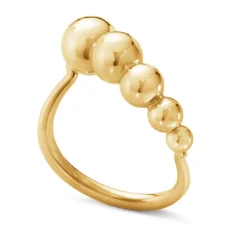 Ring Gult gull