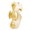 Ring Gult gull