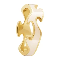 Ring Gult gull