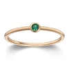 Ring Gult gull