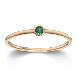 Ring Gult gull