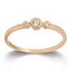 Ring Gult gull