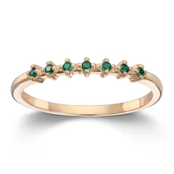 Ring Gult gull