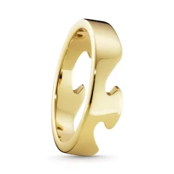 Ring Gult gull