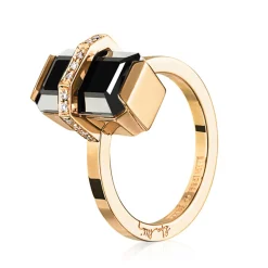 Ring Gult gull