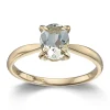 Ring Gult gull