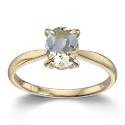 Ring Gult gull