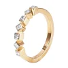 Ring Gult gull