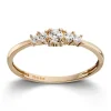 Ring Gult gull