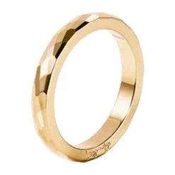 Ring Gult gull