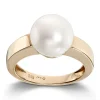 Ring Gult gull