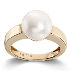 Ring Gult gull