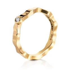 Ring Gult gull