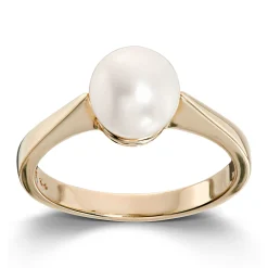 Ring Gult gull