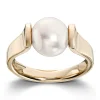 Ring Gult gull