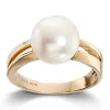 Ring Gult gull