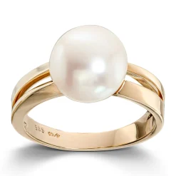 Ring Gult gull