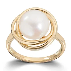 Ring Gult gull