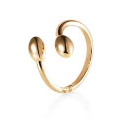 Ring Gult gull