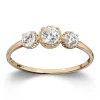 Ring Gult gull