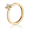 Ring Gult gull