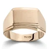 Ring Gult gull