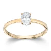 Ring Gult gull