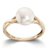 Ring Gult gull