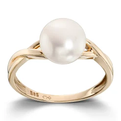 Ring Gult gull