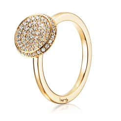 Ring Gult gull