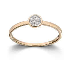 Ring Gult gull